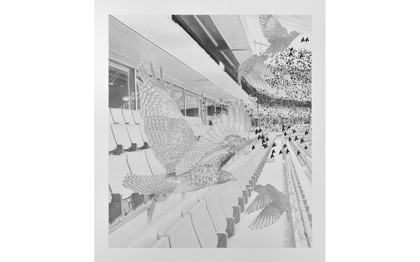 01_GAUCHE